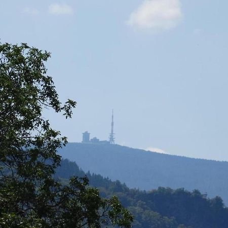 Classic Holiday Home In The Harz Mountains Ilsenburg Buitenkant foto